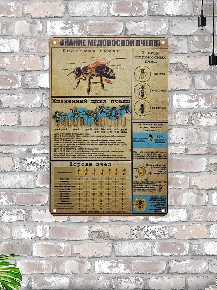 

Bee Life Metal Wall Art, Vintage Nature Poster Decor Plaque