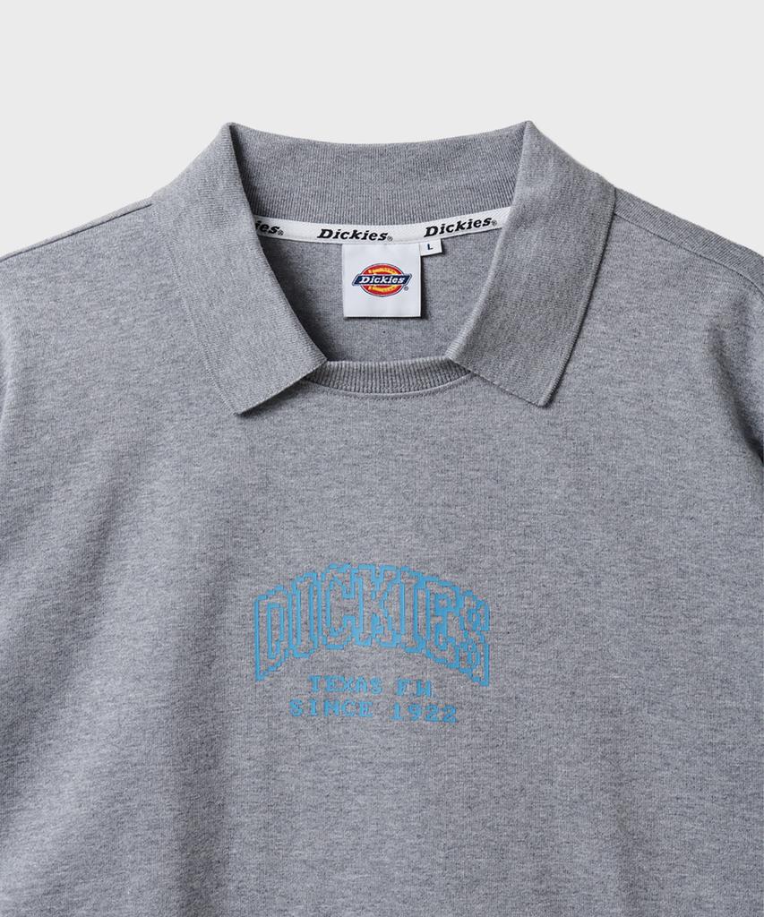 DICKIES Heavy Jersey Relaxed Crewneck Grey