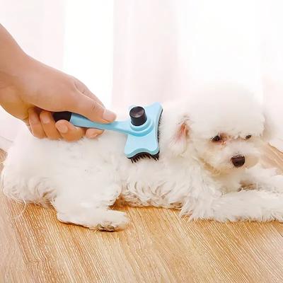 Hunde – Fellpflegeartikel für Hunde