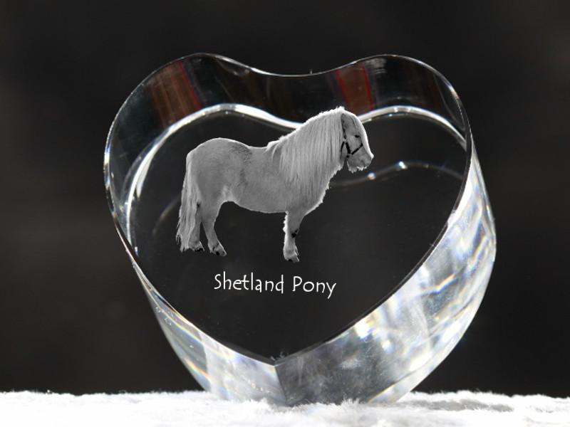 Shetland Pony – A photo of a horse in crystal, a crystal heart | Art-Dog