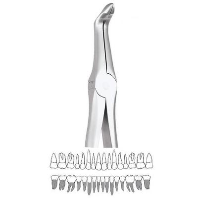 Ağız Sağlığı – Diş araçları