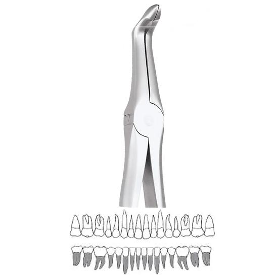 GDC Extraction Forceps Lower Roots - 945.00 Secure (SFX945.00)