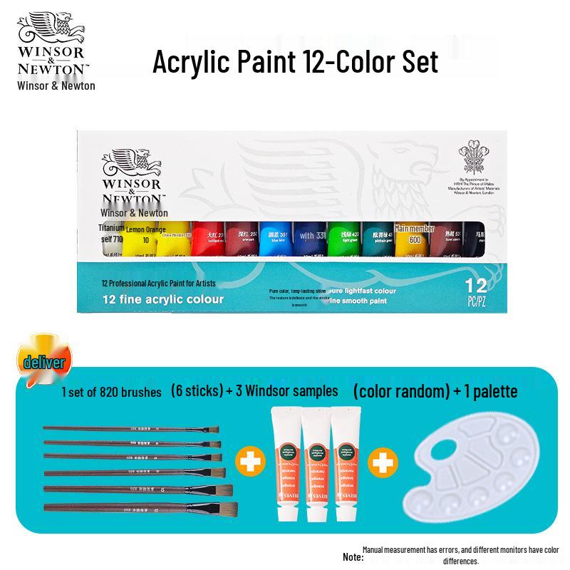 Winsor & Newton 12-Color Waterproof Acrylic Paint Set for DIY Stone, Textile & Wall Painting