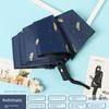Umbrella Female Oil Painting Cute Black Glue Sun Shade Rain Dual-Use Automatic Foldable Ins Sun Umbrella Sun Protection UV Protection