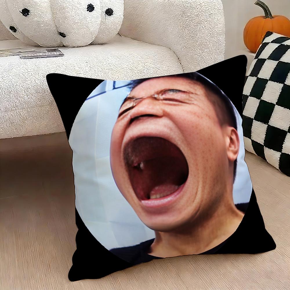 JJYP Meme Cushion Cover Natural Linen Double Sided Print Throw Pillow Case for Sofa Couch Home Decor