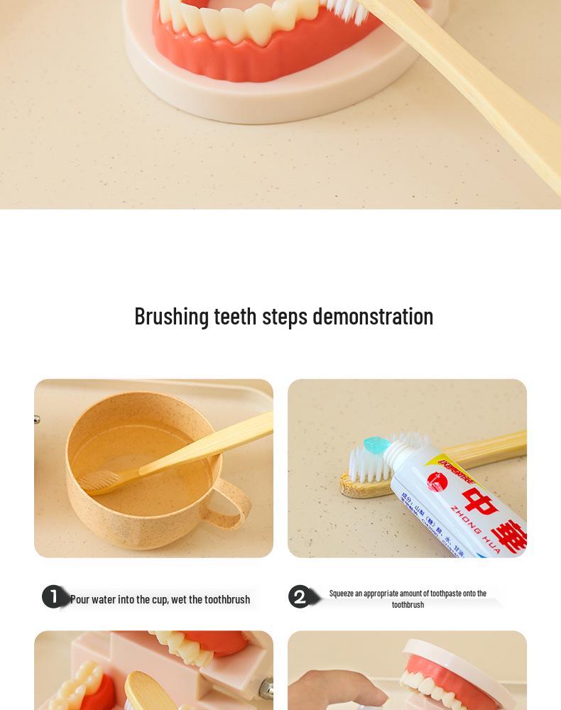Montessori Toddler Tooth Brushing Practice Aid - Educational Model for Kindergarten