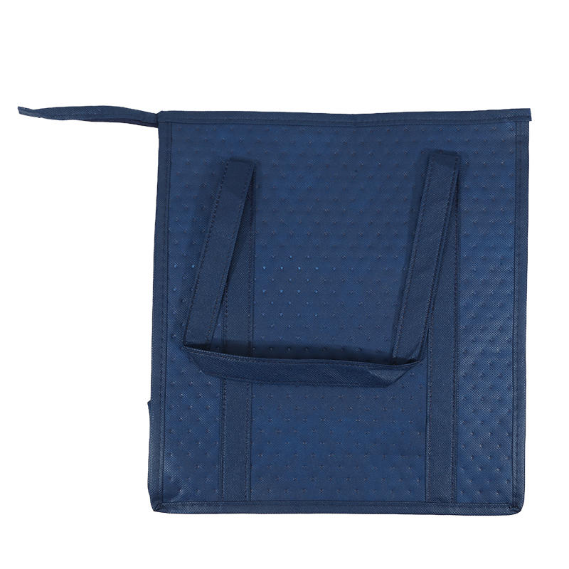 Portable Thermal Insulated Cooler Bag Leak-Proof Cold Storage Padded Carrier with Zipper for Picnic Travel