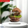 Retro grass house, 2D flat acrylic, tabletop decoration, ornaments, suitable for office, living room, party, Christmas, Halloween