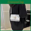 Chic 2023 Spring Collection Women's Casual Shoulder Bag Street Style Vintage Commuter Crossbody Bag Small Square Bag