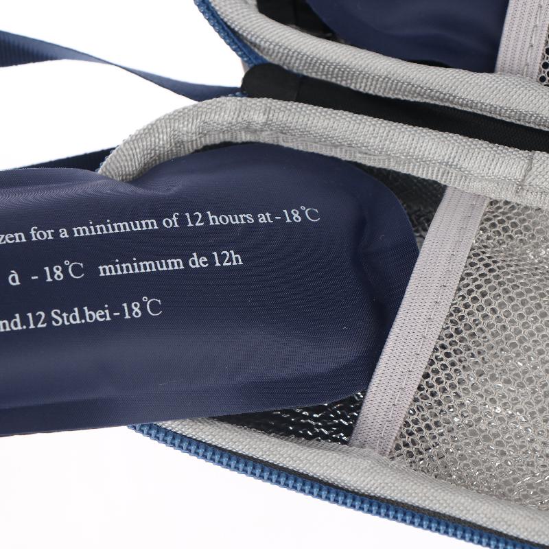 Insulin Medication Travel Cooler with Two Ice Packs for Safe and Efficient Temperature Maintenance