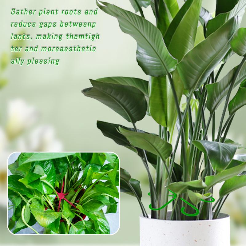 4Pcs Plants Stem Support Black/Red/Green Plastic Trellis Easy Installation Vine Plants Trellis for Indoor and Outdoor Plants