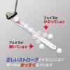 DAIYA GOLF putters A putter training Includes a putting form correction mirror and ball suitable for indoor and outdoor Suitable for beginners and
