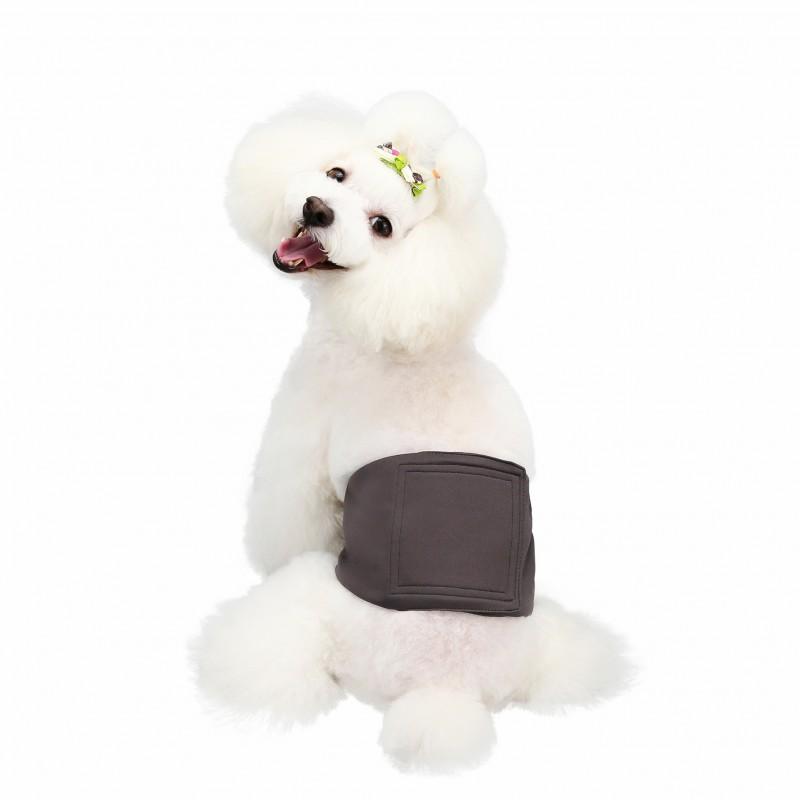 Male Dog Diaper Pants Waterproof Leak-Proof Absorbent Underwear Golden Retriever Large Breeds