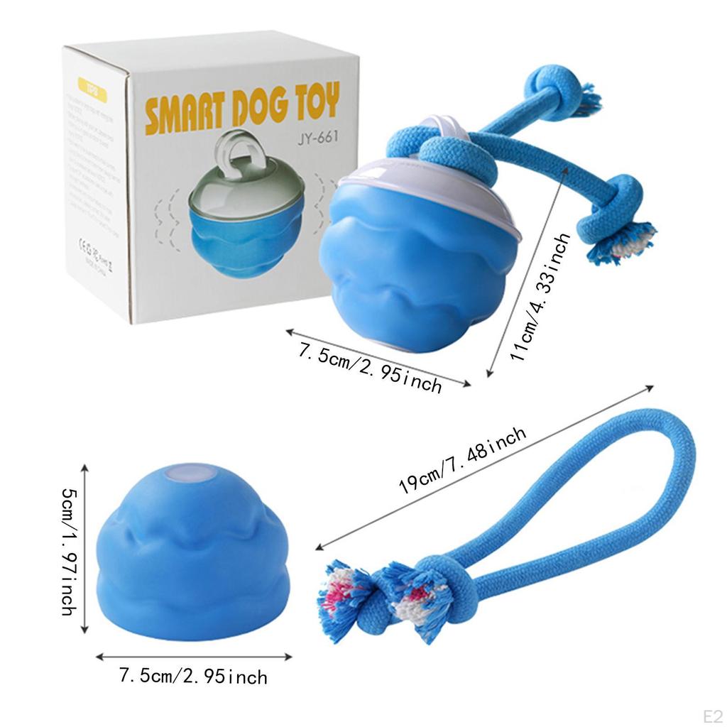 Cat Toy Interactive Ball Toy,Automatic Rolling Ball,Multiuse,Educational Moving Hunting Instinct