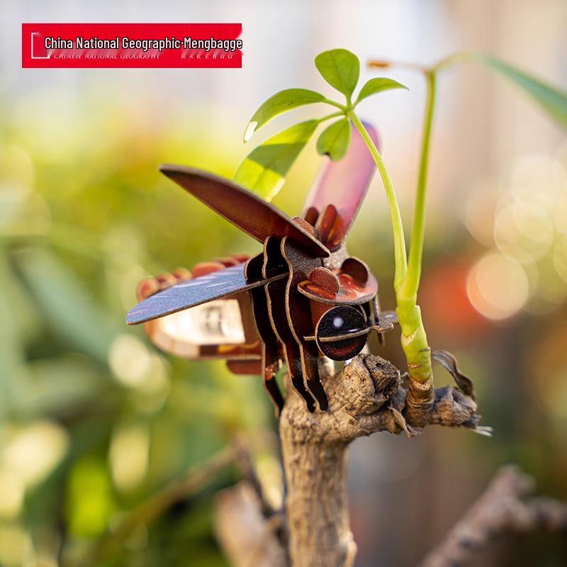 

Mengbagh 3D Firefly Insect Model Puzzle - Science Toy