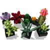 Creative Succulent Plant Model Kit With Abs Plastic Blocks For Kids Diy Educational Toy