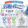Biore u Foaming Hand Fruit Refill x Biore u Body Cleansing Sheets [Quasi-drug] Soap, Scent, (2 800ml) + (10 sheets)