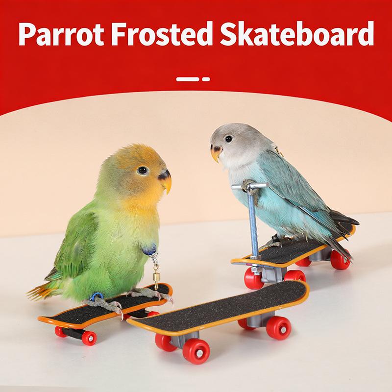 Vogel Papagei Spielzeug Skateboards Kunststoff Reptilien Unterhaltung Trainingswerkzeug Acc Vogelzubehör Rollschuhe