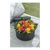 Daichi Farm Preserved Flower Tavaria Fern Green Approx. 30-35cmL 5 Pieces DO003720-700
