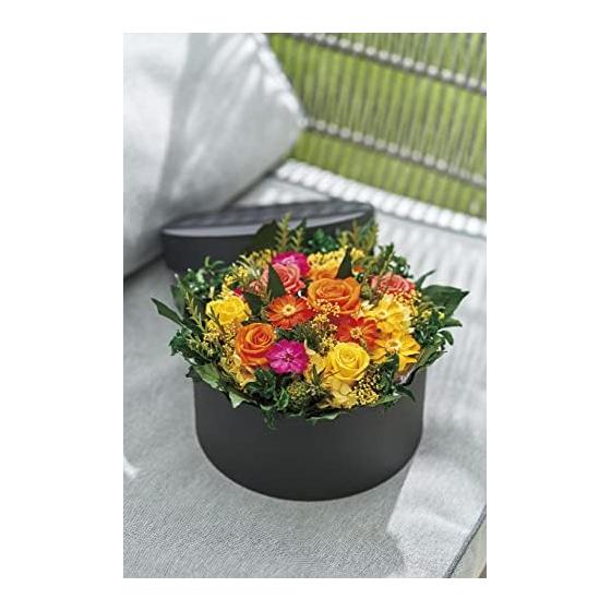 Daichi Farm Preserved Flower Tavaria Fern Green Approx. 30-35cmL 5 Pieces DO003720-700