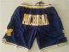Embroidered Basketball Shorts: Celtics, Raptors, 76ers, North Carolina, Knicks, Michigan