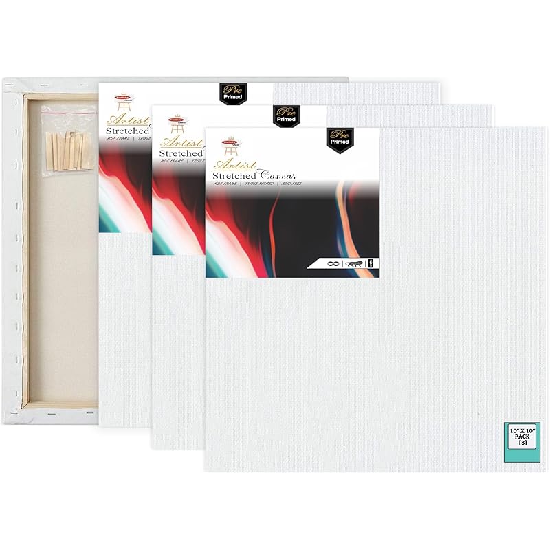 Variety Canvas 10 X 10 Inch 3 Piece Pre Stretched Canvas Board For Painting With Wooden Frame