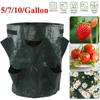 Saco de Cultivo para Morango de 5/7/10 Galões PE Vaso para Batata Vasos de Jardinagem Recipiente para Ferramentas de Plantio de Flores Legumes Tomate para Casa