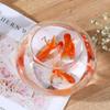 New Transparent Fish Tank Plastic Round Aquarium Unbreakable Lightweight Goldfish Tank Home Decor