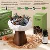 Wilderness Secret Scented Stone Diffuser Gift Set - Indoor Flameless Aroma Ornament for Holidays and Parties