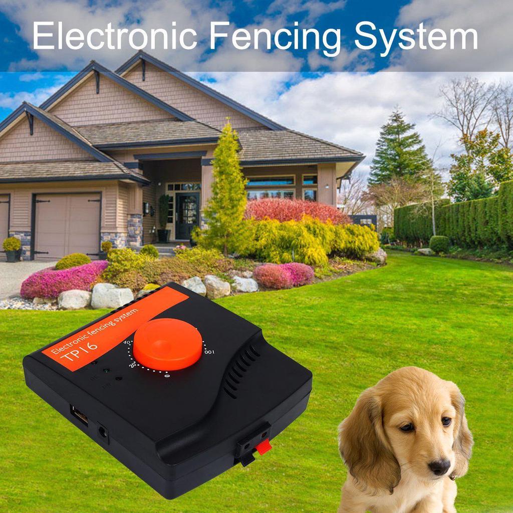 TP16 Electronic Pet Trainer & Bark Control System