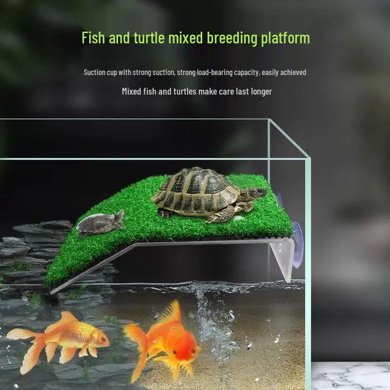 Turtle Climbing and Rest Platform with Simulated Grass and Hiding Slope