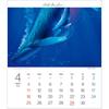 Todan 2027 Christian Riese Lassen Desk Calendar