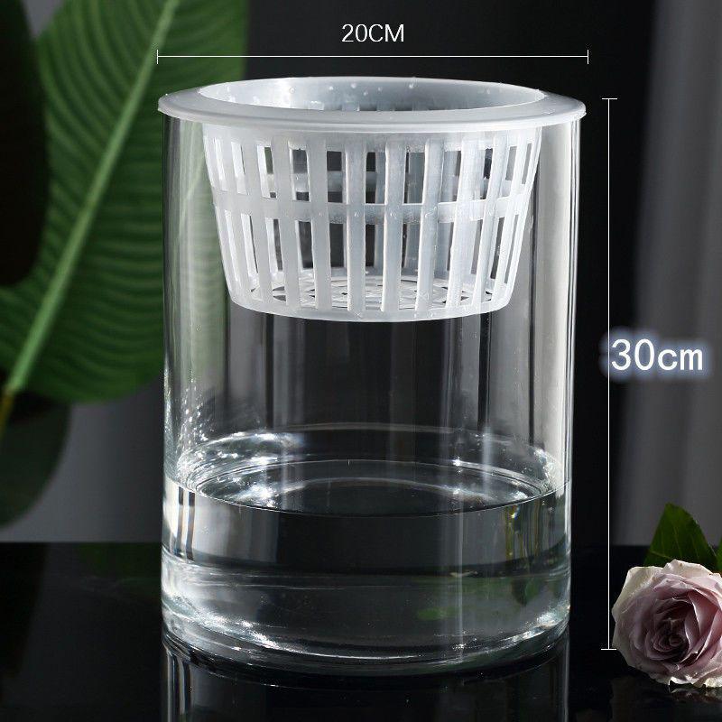 Hydroponic Glass Cylinder Vase for Pothos & Peace Lily - Transparent Water Culture Container with Free Shipping.