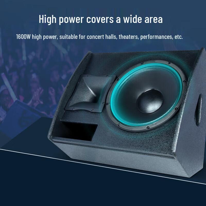 HuiDu 12-inch Professional Stage Monitor Speaker (CN Version)
