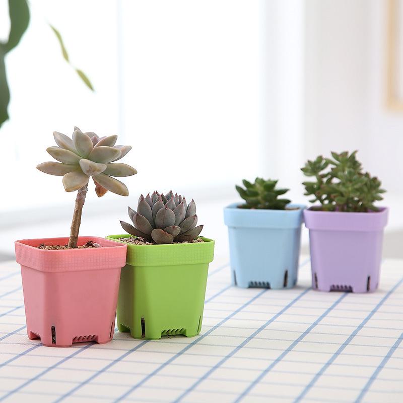 Thickened Black Square Succulent Pot - Breathable Plastic Planter for Seedlings and Lithops