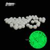 High Brightness Plastic Fishing Lure Beads - Long-Lasting Fluorescent Night Fishing Pearls