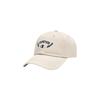 Champion 2026 Spring Fashion Baseball Cap