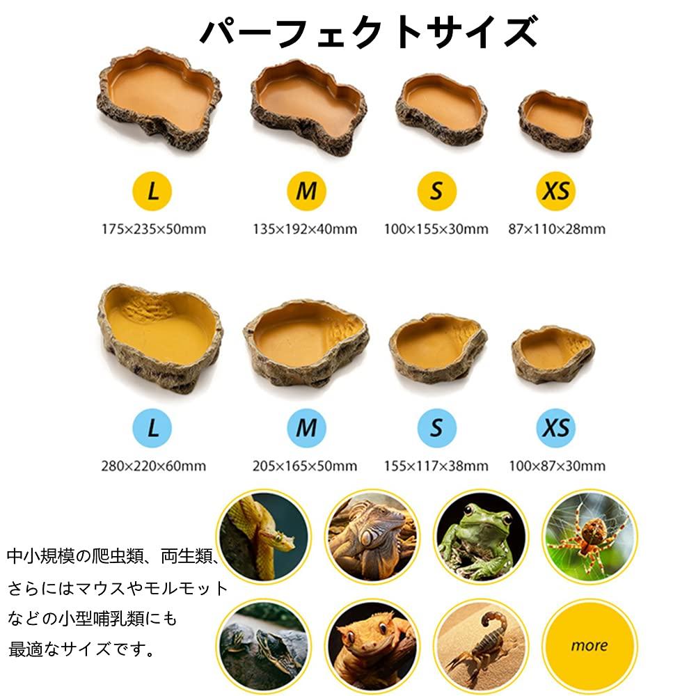 MUYYIKA Reptile Feeding Dish Feeding Tableware Drinking Fountain Breeding Case Accessories Turtle Gecko Lizard Spider Scorpion Amphibians Feeding Dish