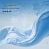 Li-Ning UV Protection Ice Sleeves