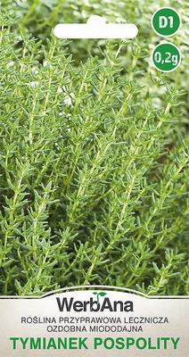 Common Thyme 0.2g Thyme Seeds -
