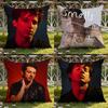 Singer C-Charlie Puth Cushion Cover Home & Car Dual-Scene Pillow Cover: Reversible for Premium Comfort