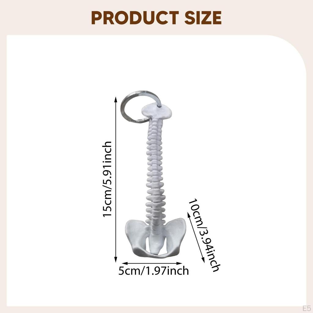 Human Spine Keychain Bag Charm PVC 15cm Handmade Small Lightweight Biology Key Pendant