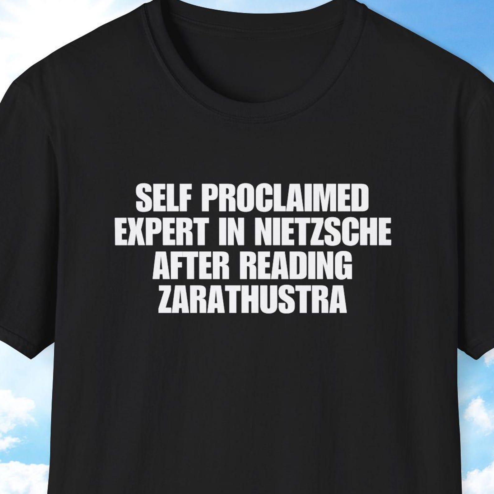 Friedrich Nietzsche Shirt, Philosophy Gift, Philosophy Shirt, Self Proclaimed Expert in Nietsche, Zarathustra Book M