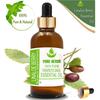 Pure Herbs Linaloe Berry 100% Pure Bursera Delpechiana Essential Oil Glass UKZA 601