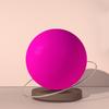 WEZHO Yoga Exercise Ball