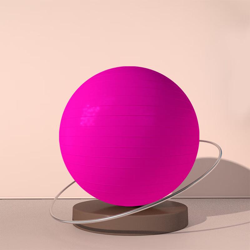 WEZHO Yoga Exercise Ball