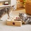 Katzen Spielzeug Interaktiv Fesselnd Haustier Geschenk Zubehör Anreicherung