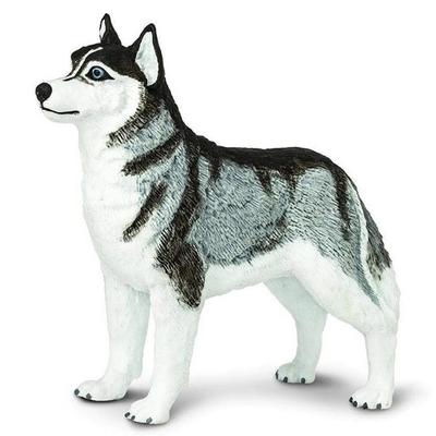 Figurine Husky de Sibérie Safari Ltd 255229, 1 pièce, jouet populaire en Corée