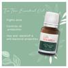 Parfumerie – Uleiuri esențiale