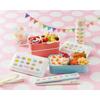 Skater Cat Motif Adult Chopsticks & Case Set 18cm, Antibacterial, Noise-Free, Made in Japan, Colorful Design